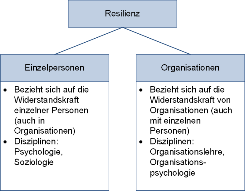 Resilienz