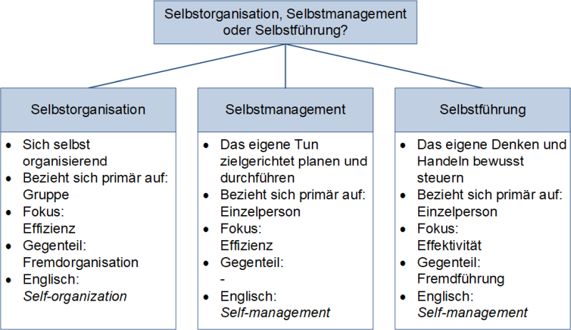 Selbstorganisation, Selbstmanagement oder Selbstführung?, (C) Peterjohann Consulting, 2024-2024