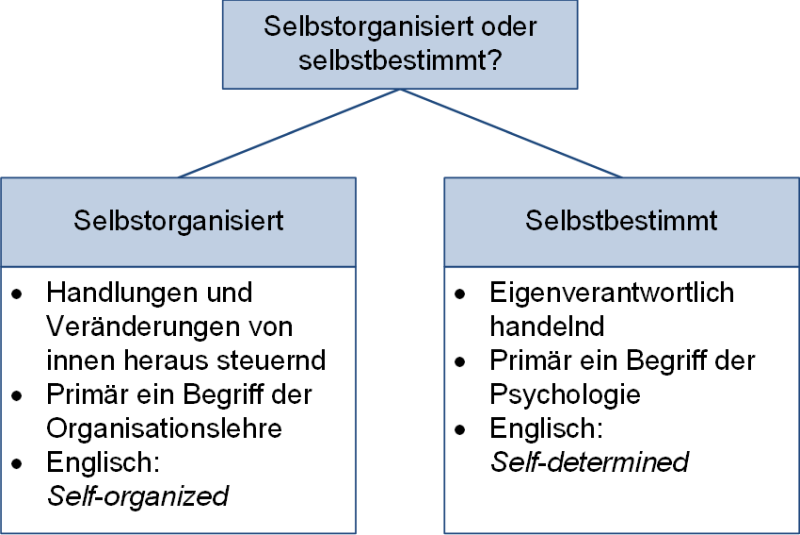 Selbstorganisiert oder selbstbestimmt?, (C) Peterjohann Consulting, 2024-2025