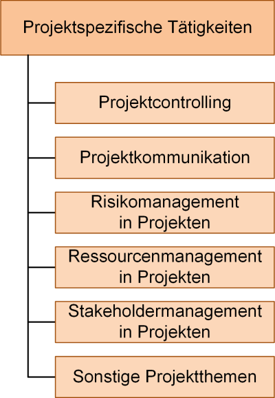 Die projektspezifischen Tätigkeiten im Projektstrukturplan, (C) Peterjohann Consulting, 2023-2024